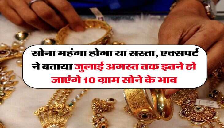 Gold Rate : सोना महंगा होगा या सस्ता, एक्सपर्ट ने बताया जुलाई अगस्त तक इतने हो जाएंगे 10 ग्राम सोने के भाव
