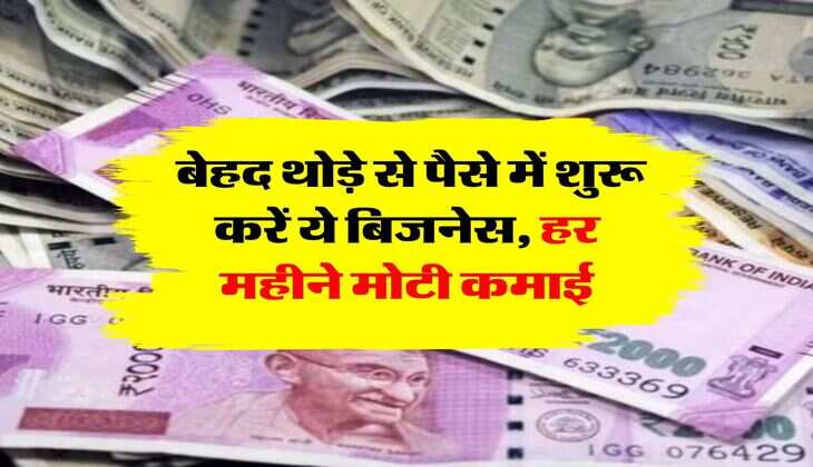 Business idea: बेहद थोड़े से पैसे में शुरू करें ये बिजनेस, हर महीने मोटी कमाई