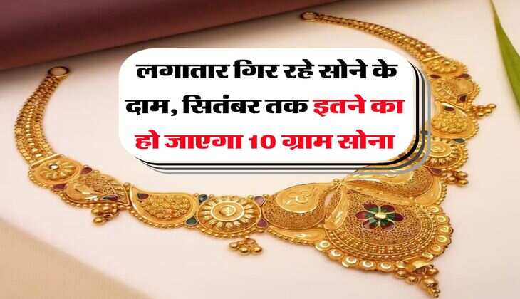 Gold Price : लगातार गिर रहे सोने के दाम, सितंबर तक इतने का हो जाएगा 10 ग्राम सोना