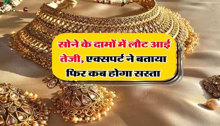 Gold Rate : सोने के दामों में लौट आई तेजी, एक्सपर्ट ने बताया फिर कब होगा सस्ता