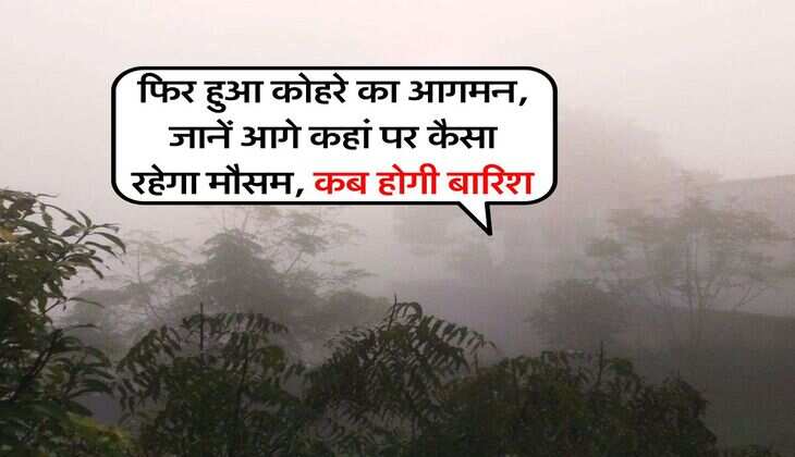 Weather Alert : फिर हुआ कोहरे का आगमन, जानें आगे कहां पर कैसा रहेगा मौसम, कब होगी बारिश&nbsp;