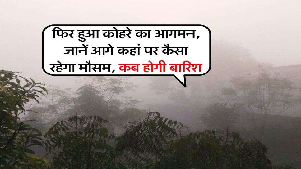 Weather Alert : फिर हुआ कोहरे का आगमन, जानें आगे कहां पर कैसा रहेगा मौसम, कब होगी बारिश&nbsp;