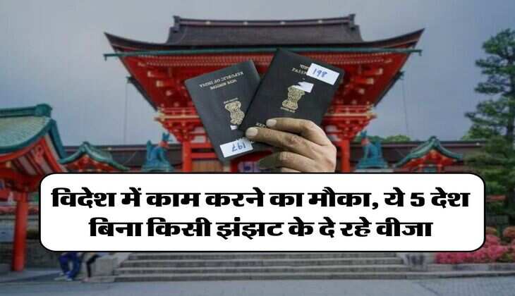 Work Visa Country: विदेश में काम करने का मौका, ये 5 देश बिना किसी झंझट के दे रहे वीजा
