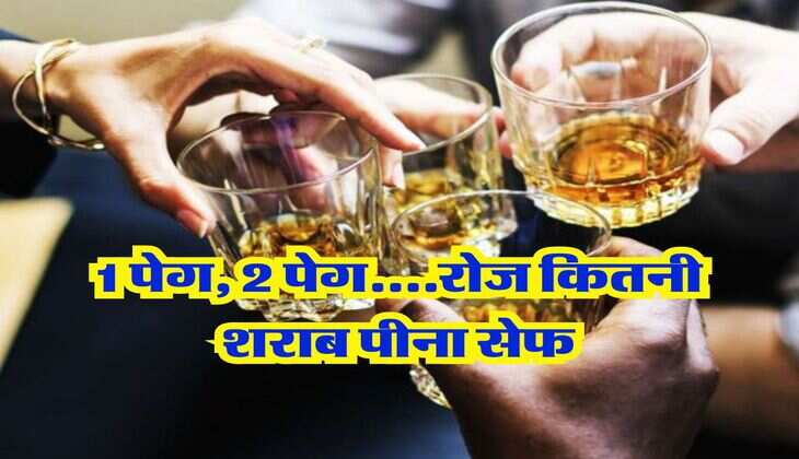 Liquor Limit : 1 पेग, 2 पेग....रोज कितनी शराब पीना सेफ, WHO ने किया खुलासा
