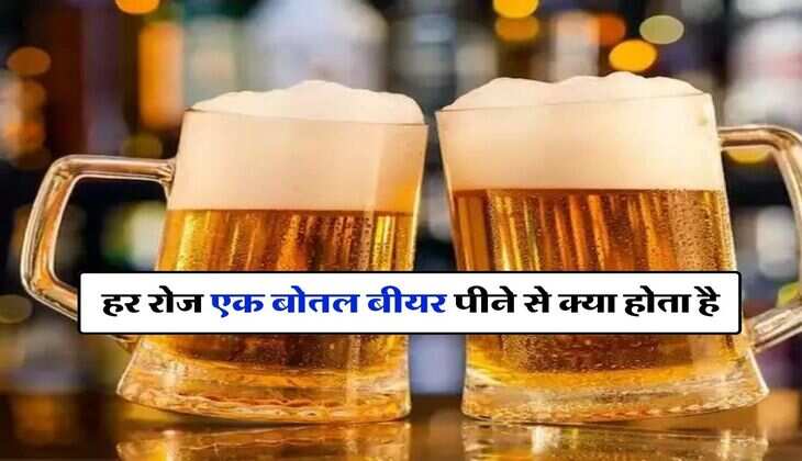 Alcohol : हर रोज एक बोतल बीयर पीने से क्या होता है, एक्सपर्ट ने बताई ये जरूरी बात