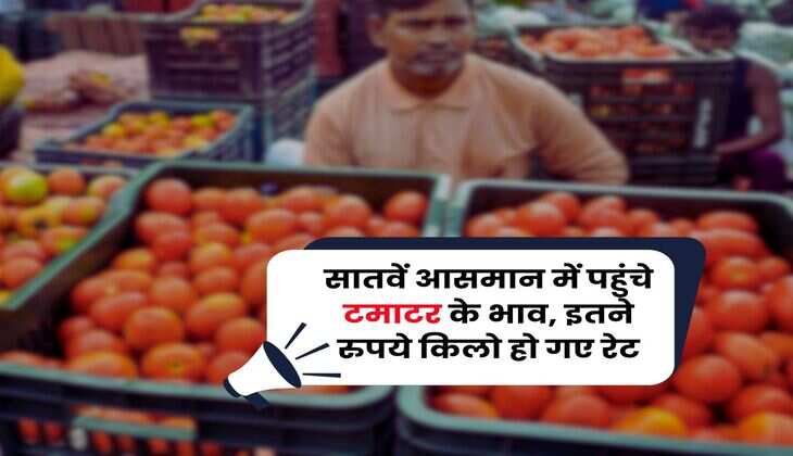 Tomato Price : सातवें आसमान में पहुंचे टमाटर के भाव, इतने रुपये किलो हो गए रेट
