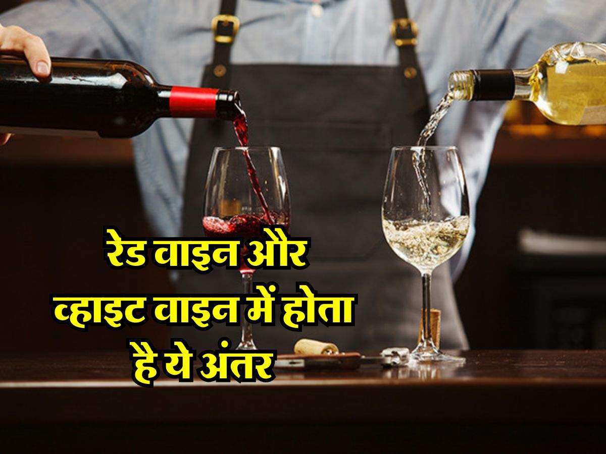 Wine : रेड वाइन और व्हाइट वाइन में होता है ये अंतर, पीने वालों को भी नहीं हैं इसकी सही जानकारी