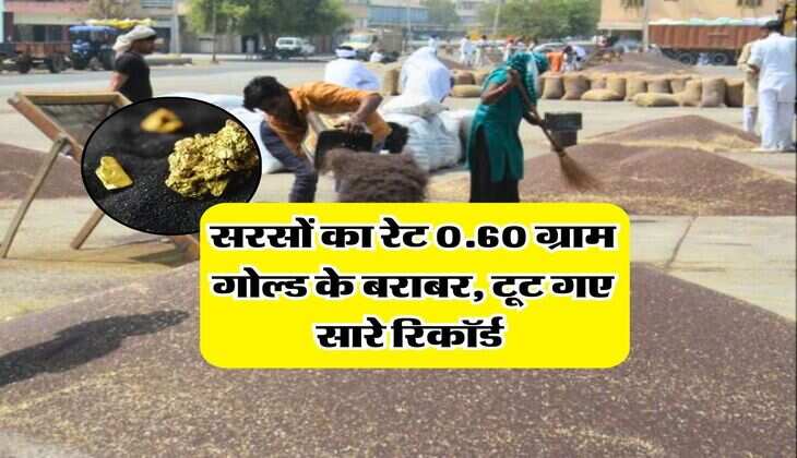 Sarso Rate : सरसों का रेट 0.60 ग्राम गोल्ड के बराबर, टूट गए सारे रिकॉर्ड&nbsp;