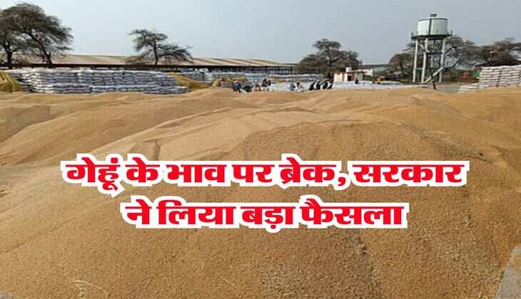 Wheat Price Today : गेहूं के भाव पर ब्रेक, सरकार ने लिया बड़ा फैसला&nbsp;