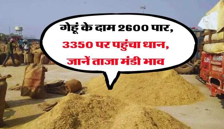 Delhi NCR में 9000 एकड़ जमीन खरीदेगी सरकार, बसाएगी नया शहर, लोग बनेंगे करोड़पति