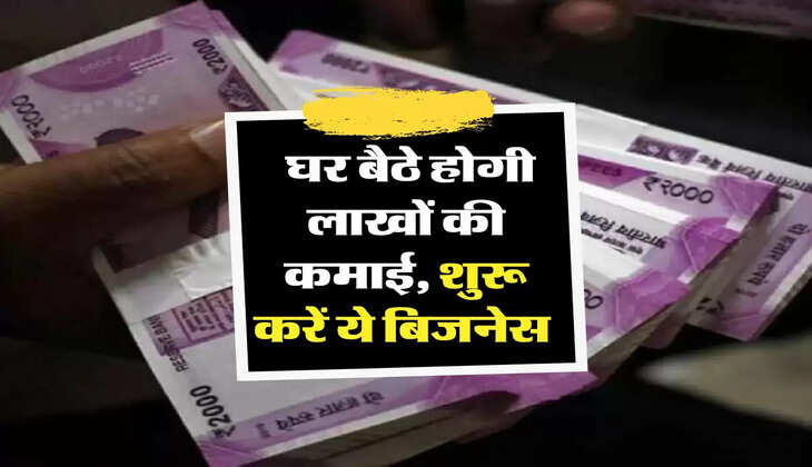 Business Idea: घर बैठे होगी लाखों की कमाई, शुरू करें ये बिजनेस 