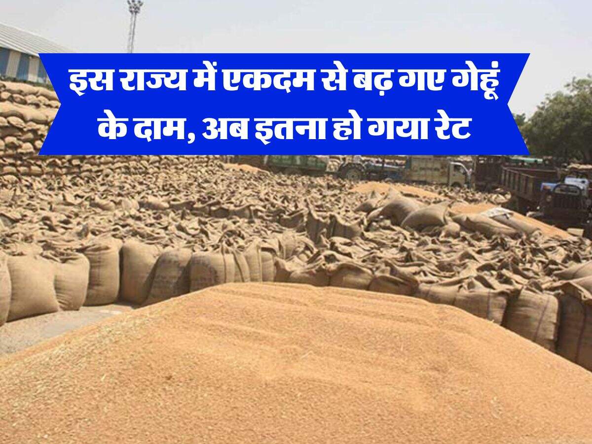 wheat rate hike : इस राज्य में एकदम से बढ़ गए गेहूं के दाम, अब इतना हो गया रेट