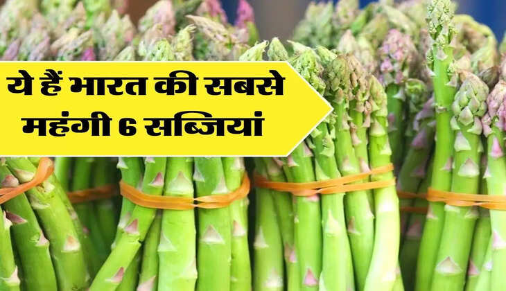 Most Expensive Vegetable : ये हैं भारत की सबसे महंगी 6 सब्जियां, जो किसानों को करा रही ट्रिपल मुनाफा