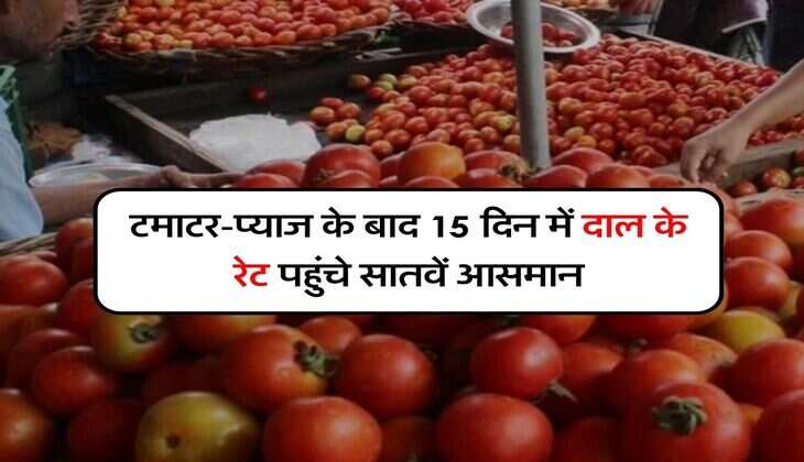 Pulses Rates Today : टमाटर-प्याज के बाद 15 दिन में दाल के रेट पहुंचे सातवें आसमान, अभी आएगी और भी तेजी, तुरंत कर लें स्टॉक