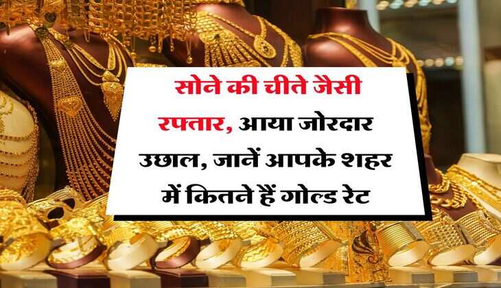 Gold price : सोने की चीते जैसी रफ्तार, आया जोरदार उछाल, जानें आपके शहर में कितने हैं गोल्ड रेट