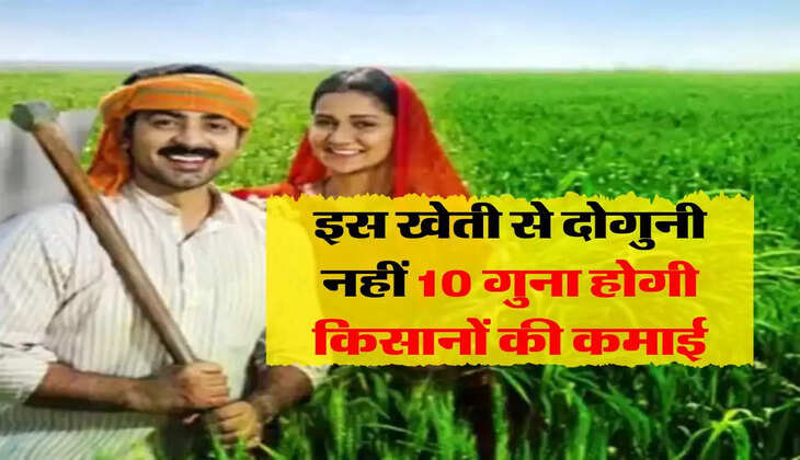 Business Idea : इस खेती से दोगुनी नहीं 10 गुना होगी किसानों की कमाई, आप भी करें शुरू