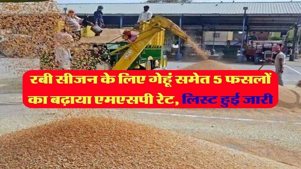 MSP Rate 2026-27 : रबी सीजन के लिए गेहूं समेत 5 फसलों का बढ़ाया एमएसपी रेट, लिस्ट हुई जारी