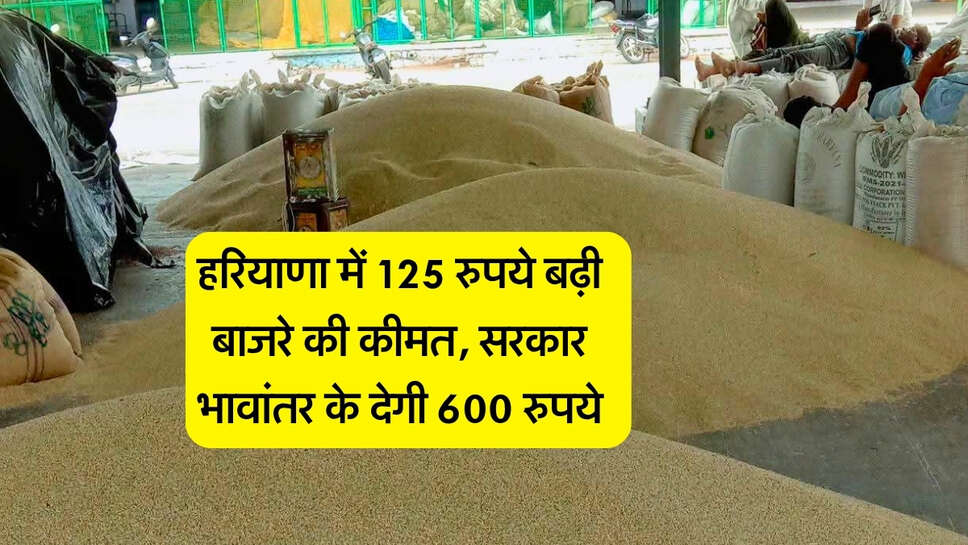 bajra ka bhav : हरियाणा में 125 रुपये बढ़ी बाजरे की कीमत, सरकार भावांतर के देगी 600 रुपये