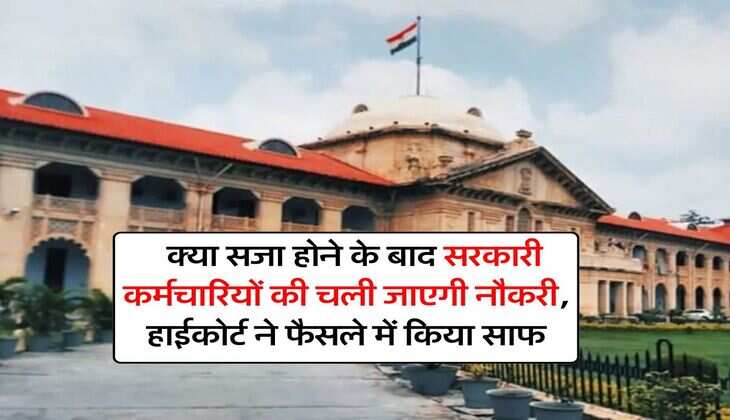 High Court : क्या सजा होने के बाद सरकारी कर्मचारियों की चली जाएगी नौकरी, हाईकोर्ट ने फैसले में किया साफ