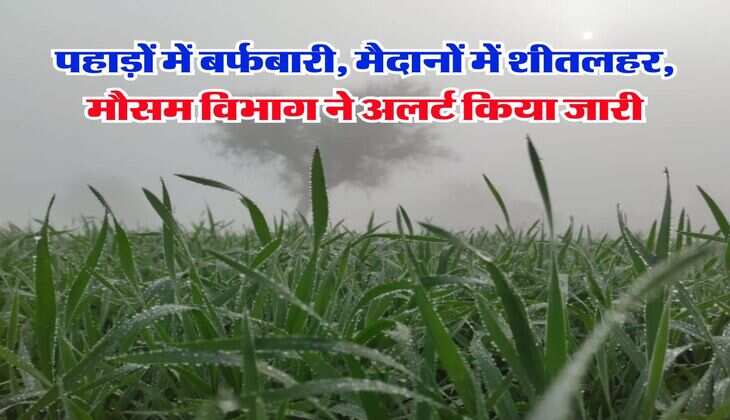 IMD Weather Alert : पहाड़ों में बर्फबारी, मैदानों में शीतलहर, मौसम विभाग ने अलर्ट किया जारी