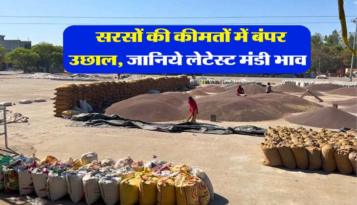 sarso mandi rate : सरसों की कीमतों में बंपर उछाल, जानिये लेटेस्ट मंडी भाव 