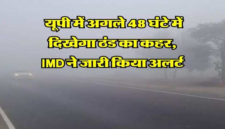 UP Winter Alert : यूपी में अगले 48 घंटे में दिखेगा ठंड का कहर, IMD ने जारी किया अलर्ट