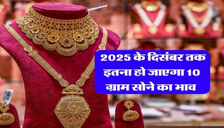 Gold Price : 2025 के दिसंबर तक इतना हो जाएगा 10 ग्राम सोने का भाव 