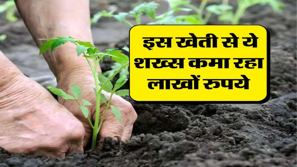 Business Idea : इस खेती से ये शख्स कमा रहा लाखों रुपये, जानिए खेती करने का तरीका