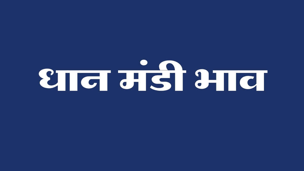 Paddy Mandi Bhav: 1509 धान के भाव में तेजी, टोहाना में 4301 और अलीगढ़ में 4341 रुपये तक भाव