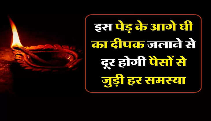 Vastu Tips : इस पेड़ के आगे घी का दीपक जलाने से दूर होगी पैसों से जुड़ी हर समस्या