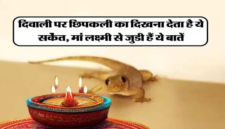 दिवाली पर छिपकली का दिखना देता है ये सकेंत, मां लक्ष्मी से जुडी हैं ये बातें