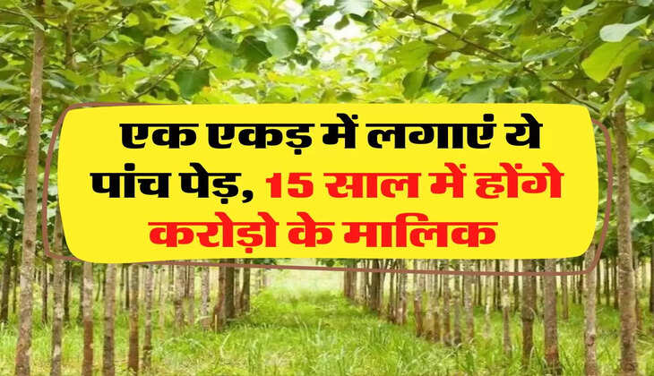 Business Idea: एक एकड़ में लगाएं ये पांच पेड़, 15 साल में होंगे करोड़ो के मालिक 