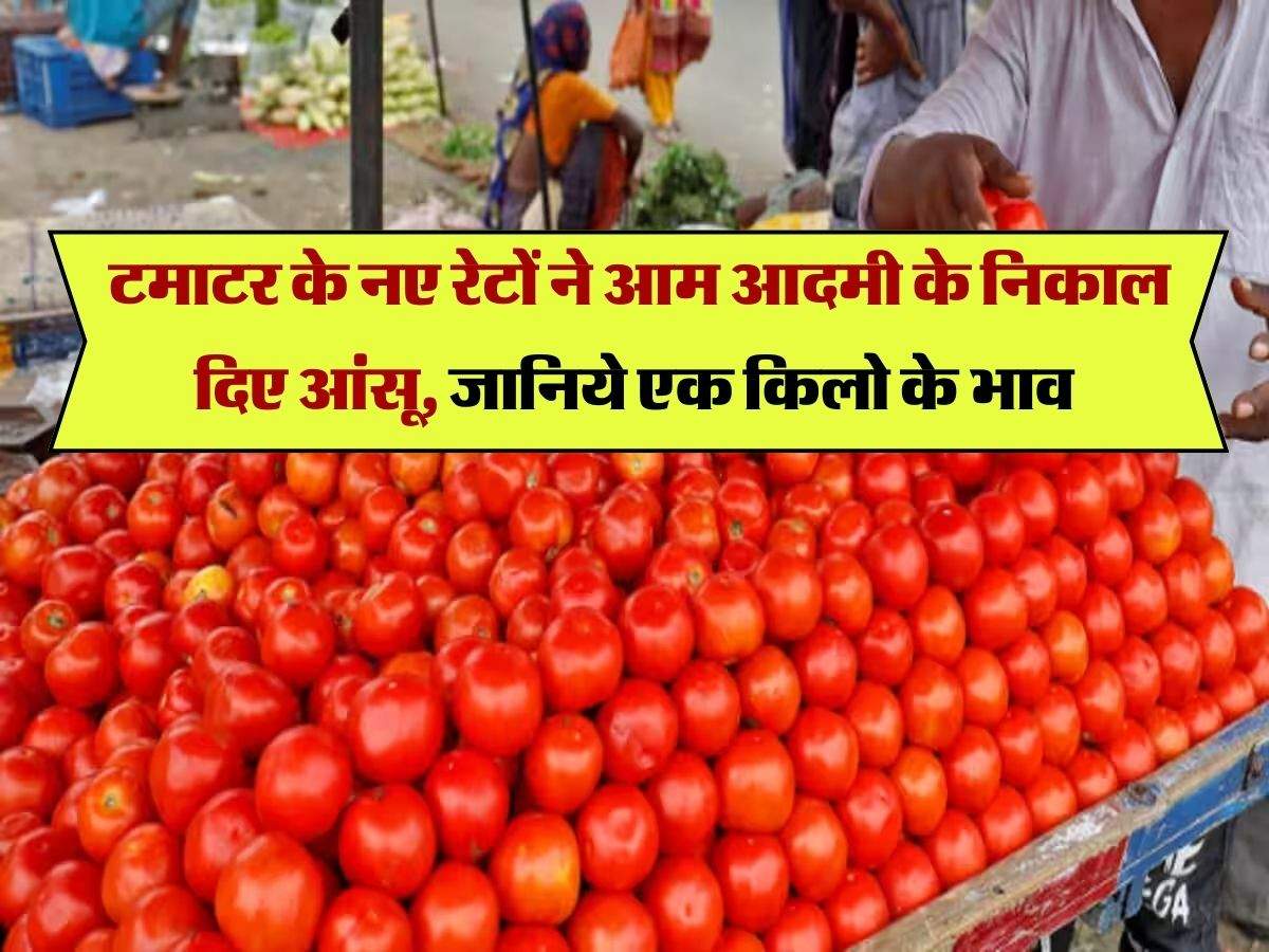 Today Tomato Price : टमाटर के नए रेटों ने आम आदमी के निकाल दिए आंसू, जानिये एक किलो के भाव