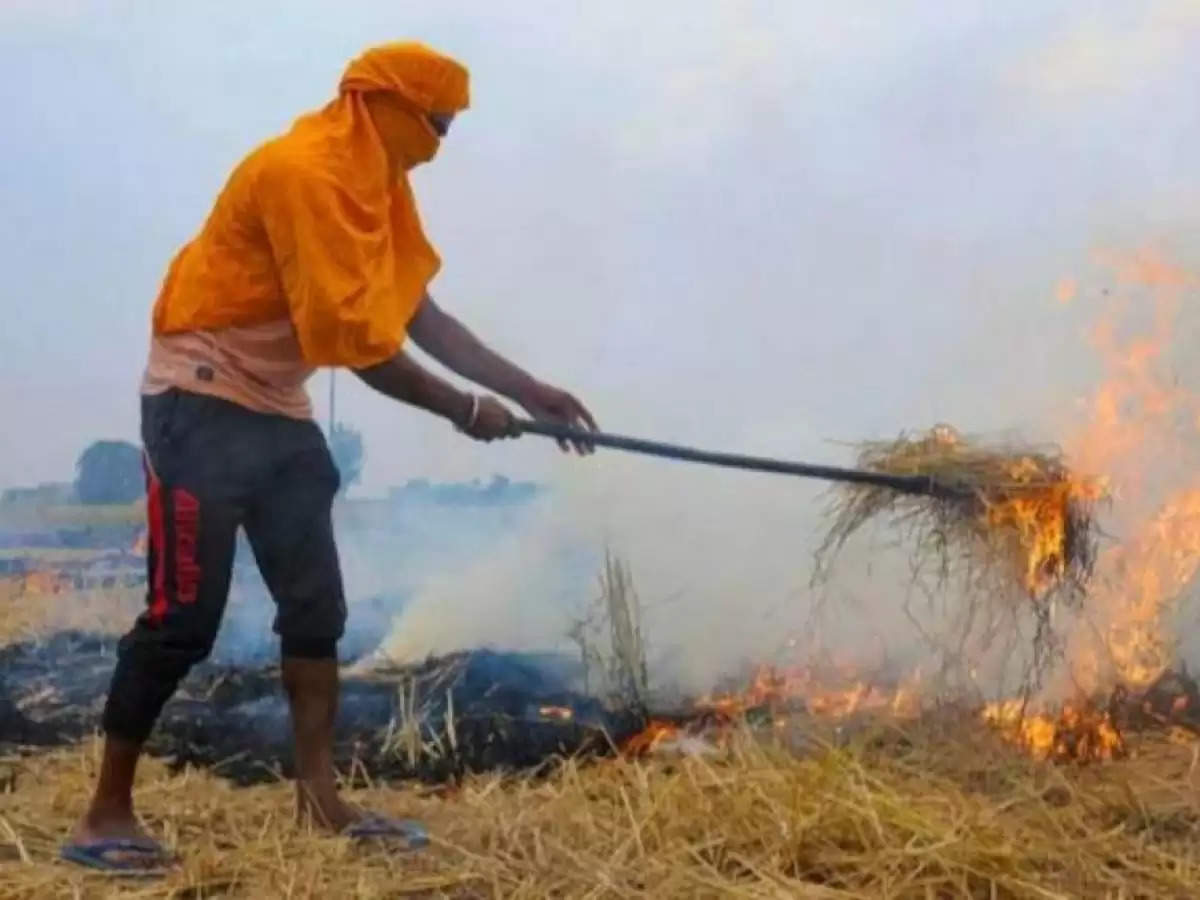 आखिर किसान क्यों जलाते हैं पराली? (Why do farmers burn stubble?)