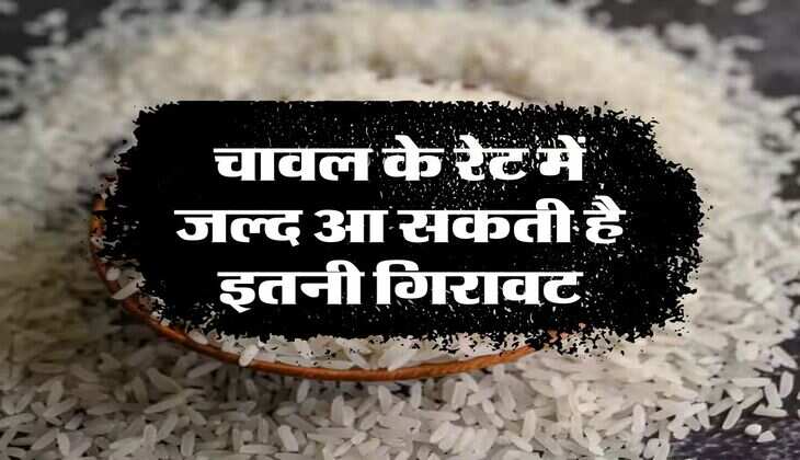 Rice Price: चावल के रेट में जल्द आ सकती है इतनी गिरावट