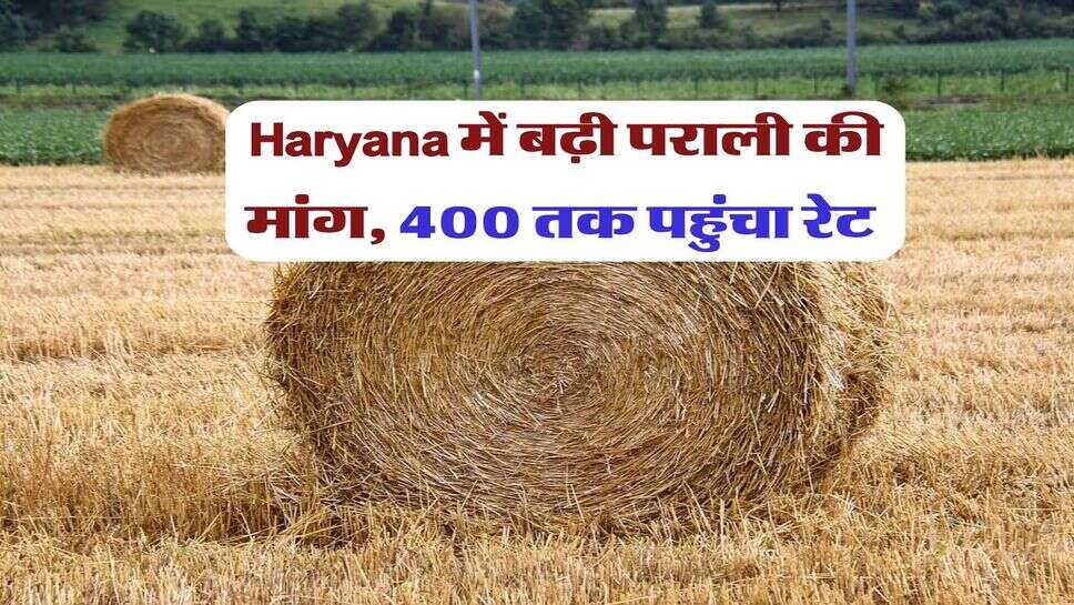 Haryana में बढ़ी पराली की मांग, 400 तक पहुंचा रेट&nbsp;