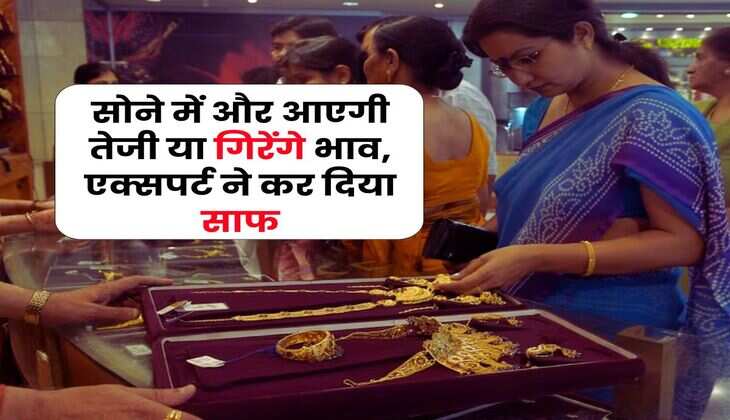 Gold Rate : सोने में और आएगी तेजी या गिरेंगे भाव, एक्सपर्ट ने कर दिया साफ