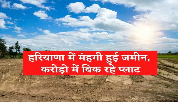 हरियाणा में मंहगी हुई जमीन,  करोड़ो में बिक रहे प्लाट
