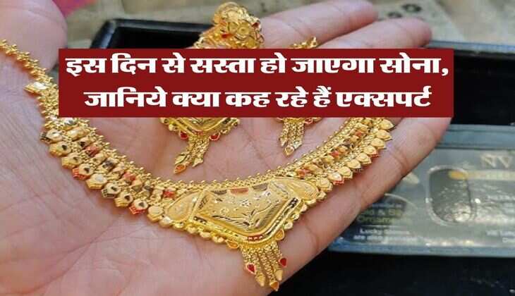 Gold Rate : इस दिन से सस्ता हो जाएगा सोना, जानिये क्या कह रहे हैं एक्सपर्ट