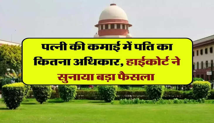  property rights: पत्नी की कमाई में पति का कितना अधिकार, हाईकोर्ट ने सुनाया बड़ा फैसला 