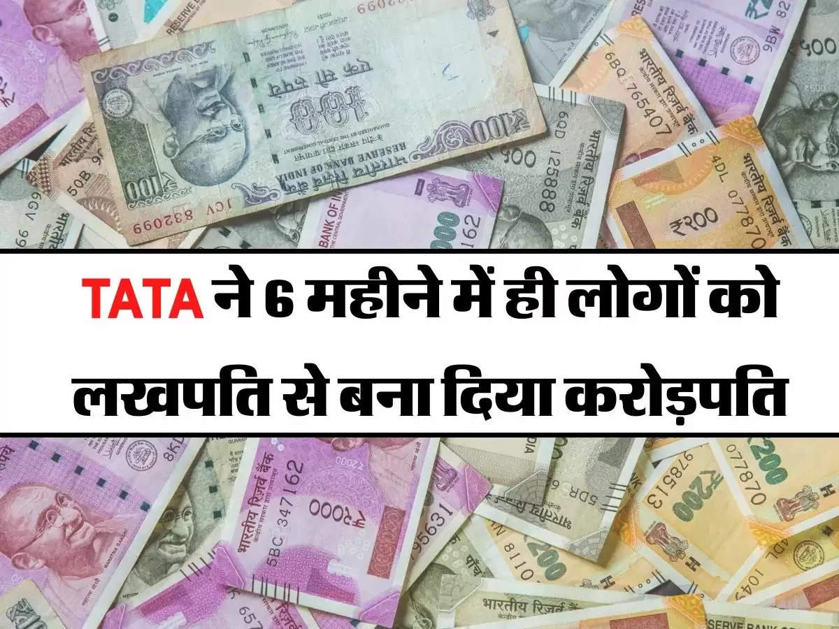 TATA ने 6 महीने में ही लोगों को लखपति से बना दिया करोड़पति