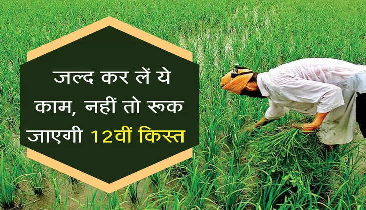  जल्द कर लें ये काम, नहीं तो रूक जाएगी 12वीं किस्त  