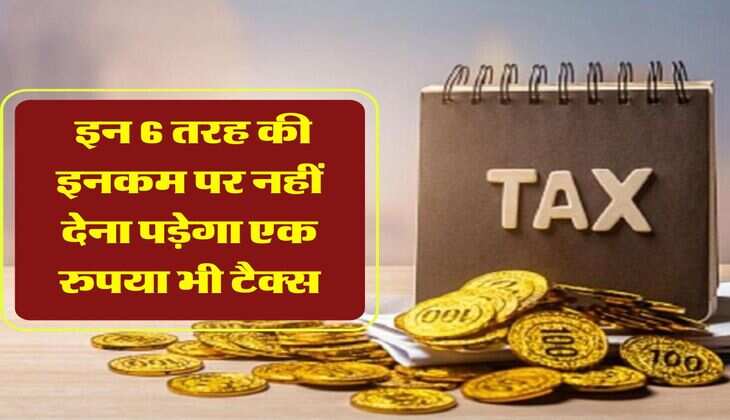 Non Taxable Income: इन 6 तरह की इनकम पर नहीं देना पड़ेगा एक रुपया भी टैक्स