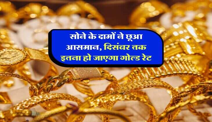 Gold Rate Hike : सोना खरीदने में अब न करें देरी, एक्सपर्ट ने बताया दिसंबर तक कहां पहुंच जाएंगे रेट