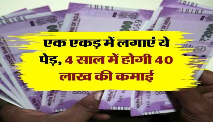 Business Idea: एक एकड़ में लगाएं ये पेड़, 4 साल में होगी 40 लाख की कमाई