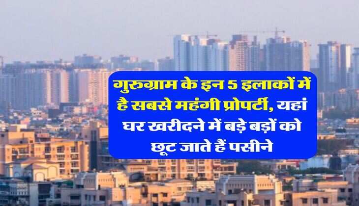 Gurugram Property Rates : गुरुग्राम के इन 5 इलाकों में है सबसे महंगी प्रोपर्टी, यहां घर खरीदने में बड़े बड़ों को छूट जाते हैं पसीने