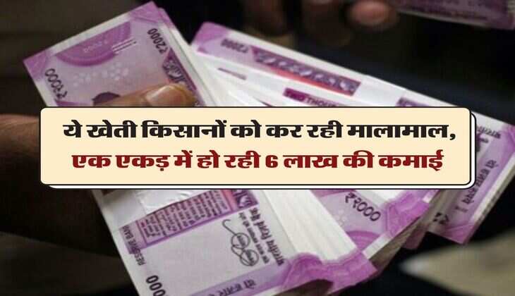 Business Idea: ये खेती किसानों को कर रही मालामाल, एक एकड़ में हो रही 6 लाख की कमाई