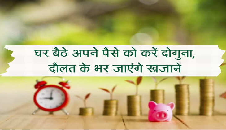 Business Idea : घर बैठे अपने पैसे को करें दोगुना, दौलत के भर जाएंगे खजाने