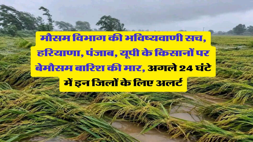 मौसम विभाग की भविष्यवाणी सच, हरियाणा, पंजाब, यूपी के किसानों पर बेमौसम बारिश की मार, अगले 24 घंटे में इन जिलों के लिए अलर्ट