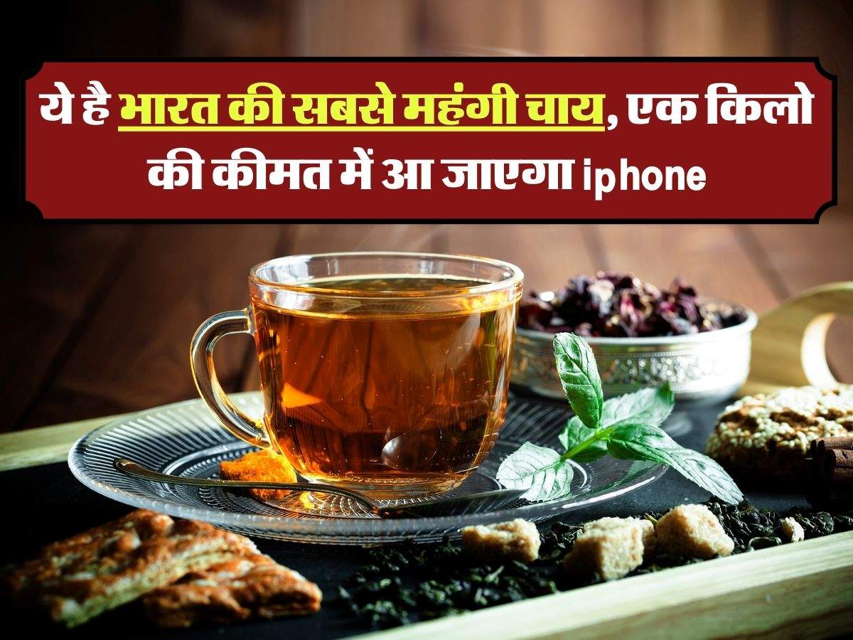 Most Expensive Tea : ये है भारत की सबसे महंगी चाय, एक किलो की कीमत में आ जाएगा iphone